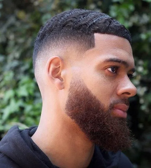 El corte de pelo limpio del caballero negro